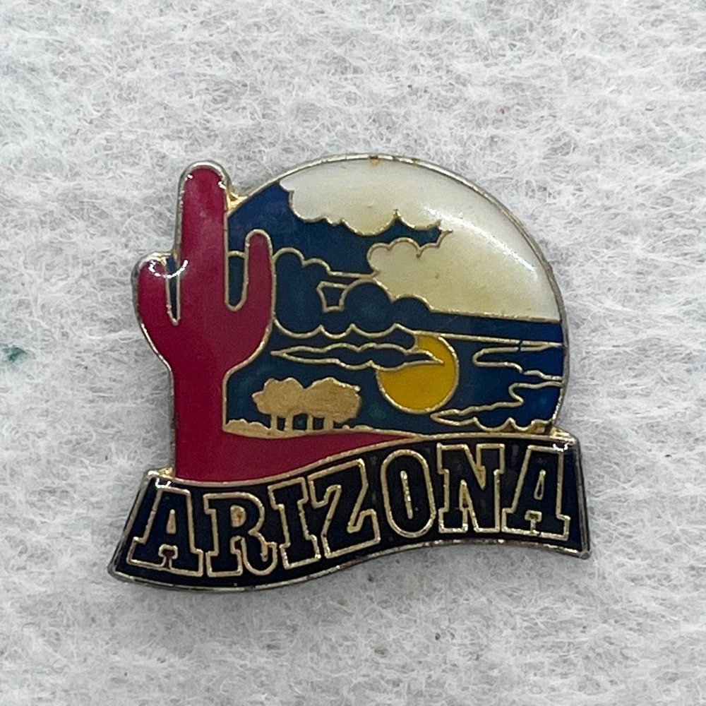 🔮 5/$25 Vintage Arizona Cactus Pin